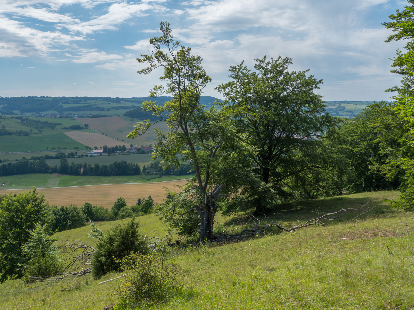 Rhönhutung