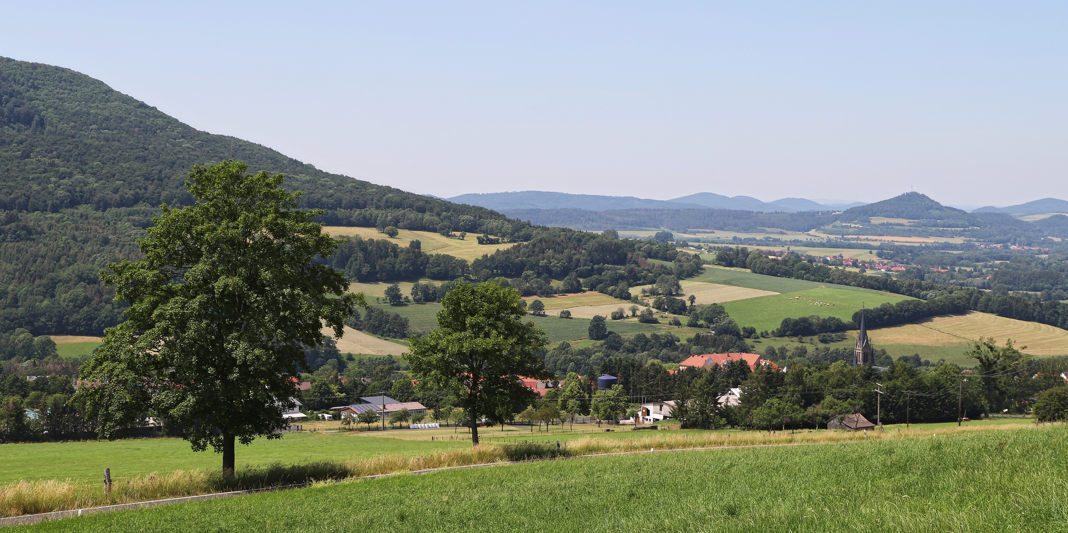 Rhönkuppen bei Tann (2019_06_25_EOS 6D Mark II_4188_ji)