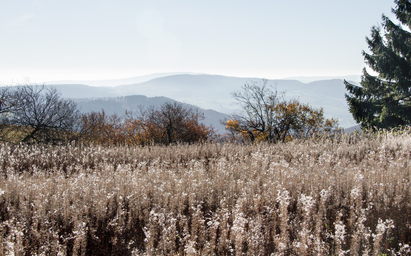 rhönlandschaft