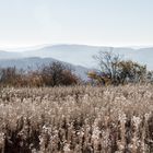 rhönlandschaft