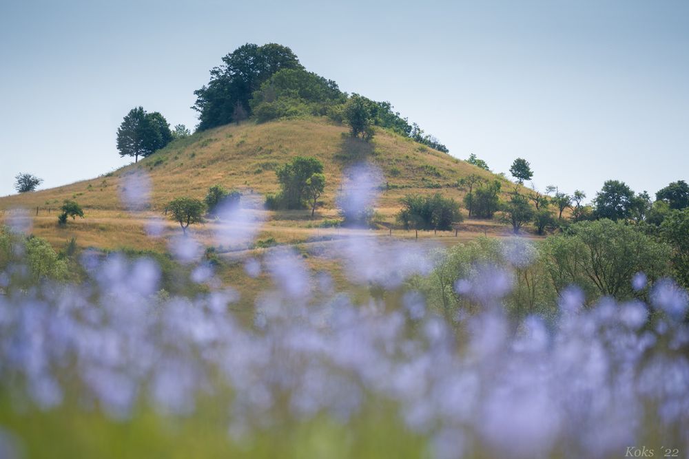 Rhönlandschaft