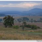 Rhönlandschaft