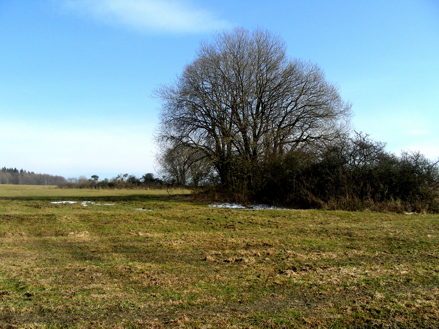 Rhönlandschaft