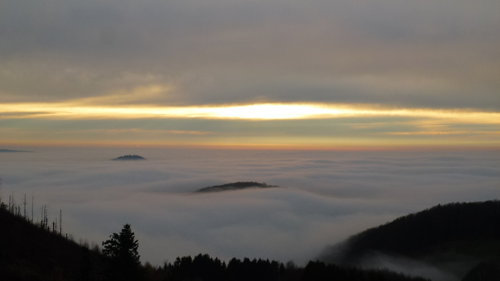 Rhönnebel