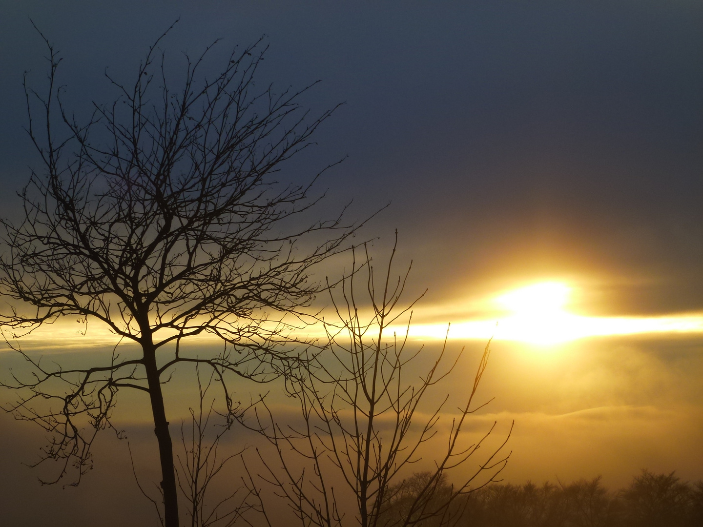 Rhönnebel2