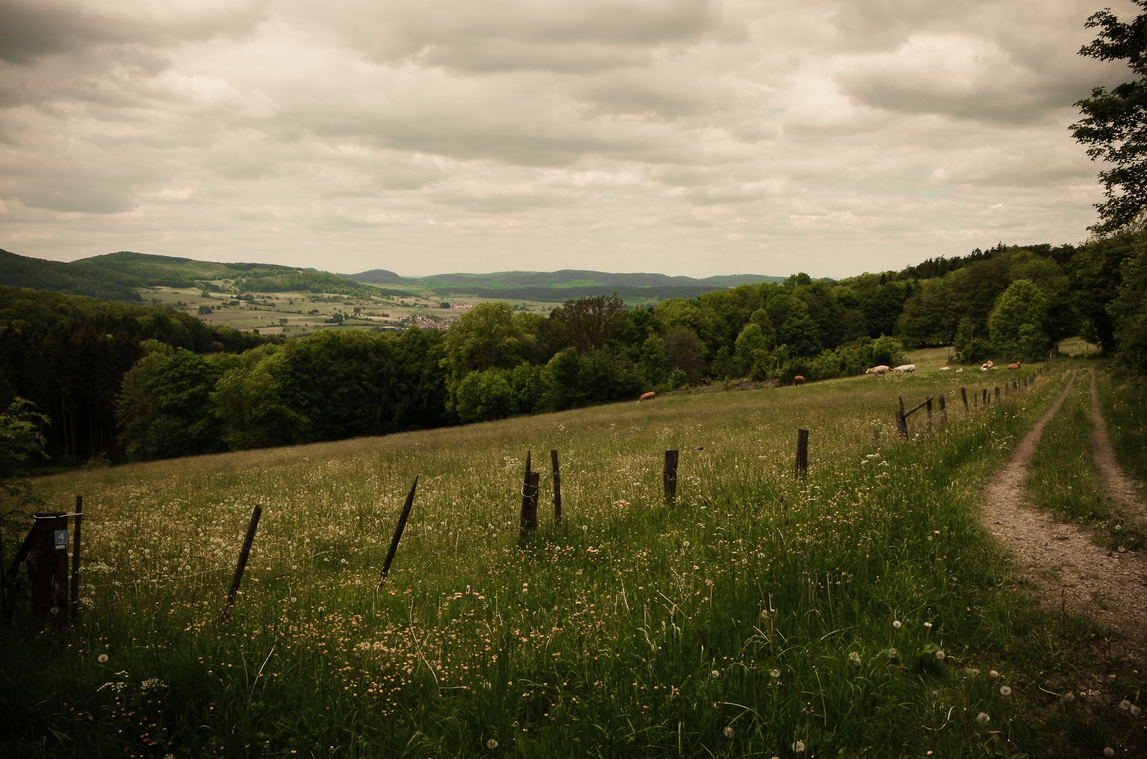 Rhönpanorama