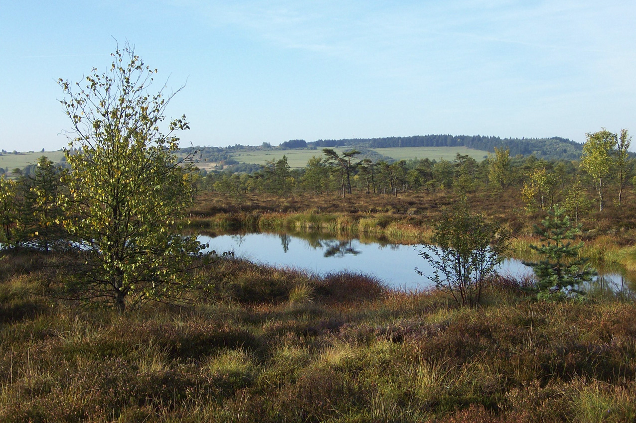 Rhön_Schwarzes Moor