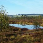 Rhön_Schwarzes Moor