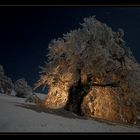 RHÖNVISIONEN - die Rhön wie man sie eher nicht kennt