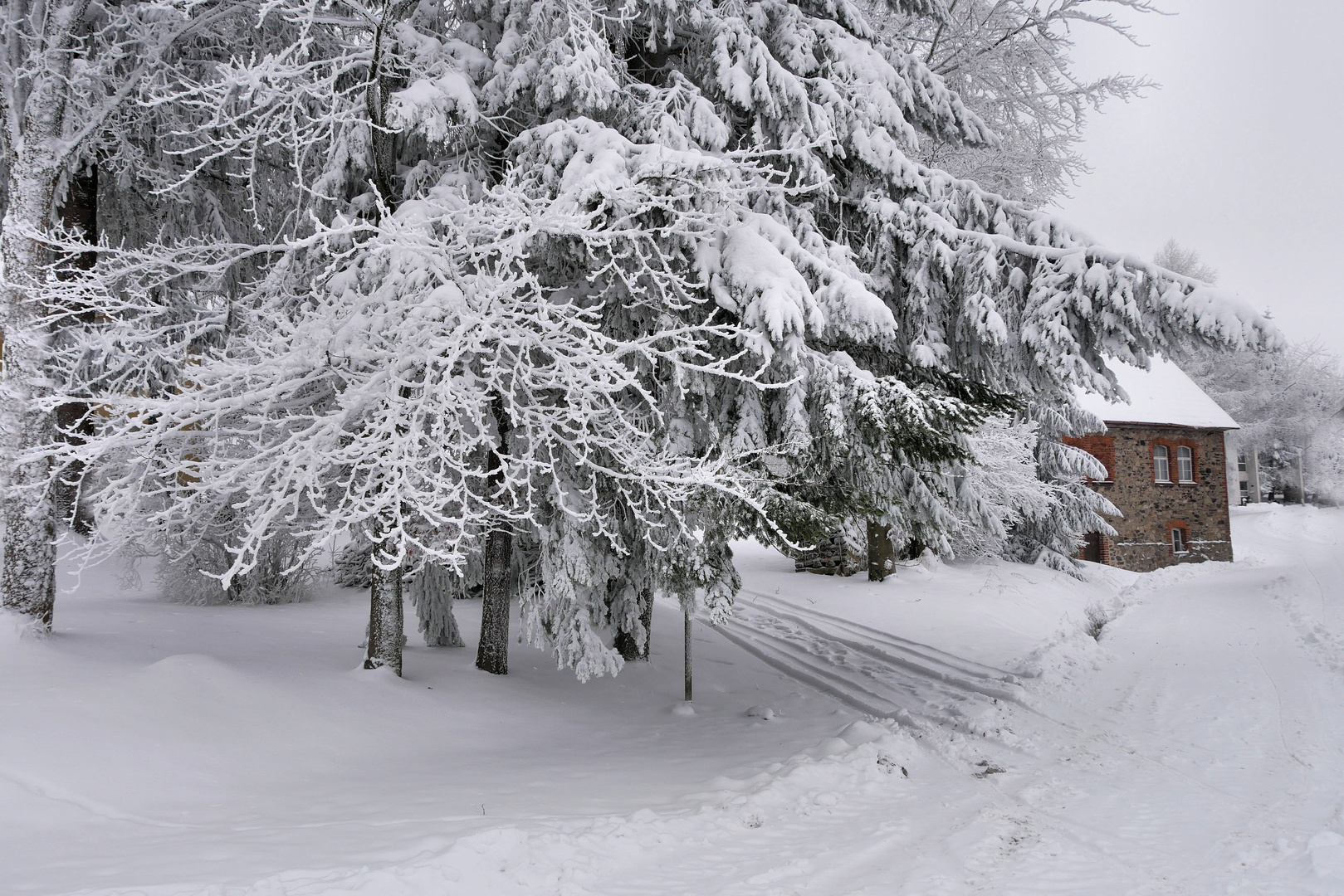 Rhönwinter