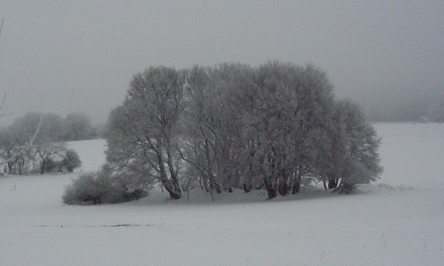 Rhönwinter