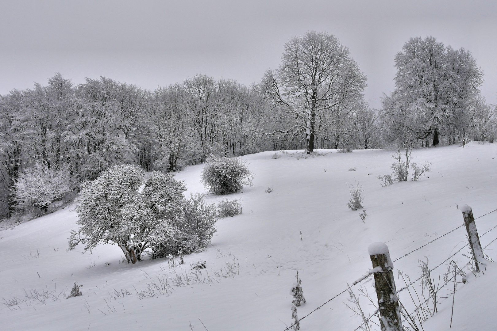 Rhönwinter