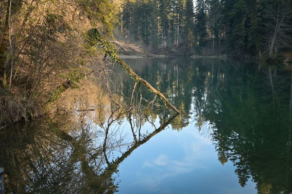 Rhombe forme géométrique