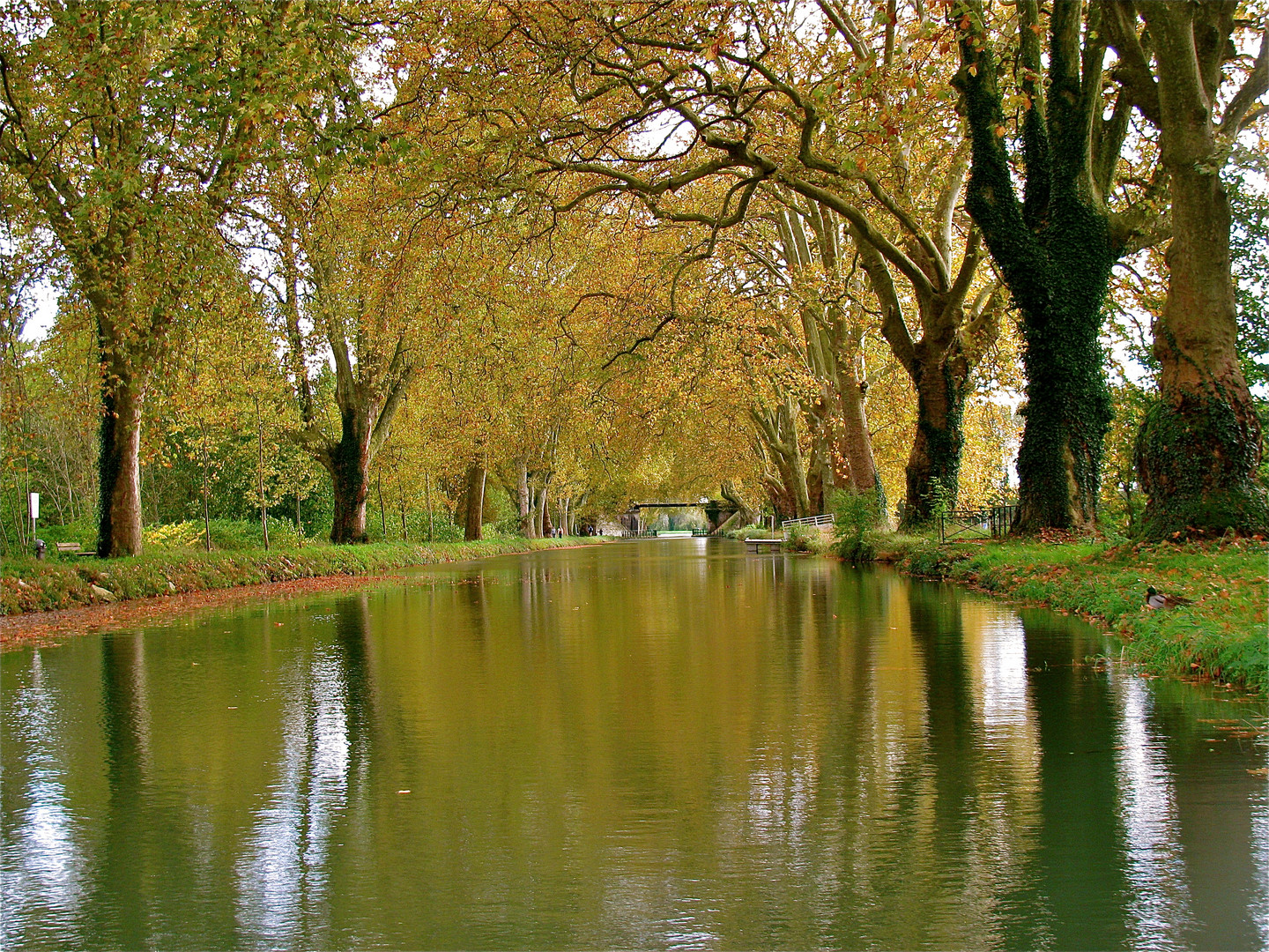 ...Rhône au Rhin Canal !!!...