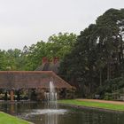 RHS Garden Wisley (2019_05_03_EOS 6D Mark II_2080_ji)