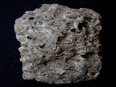 Rhyolithischer Bimsstein aus der Askja-Caldera, Island