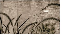 rhythmisches