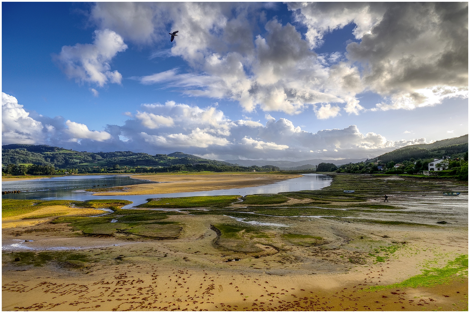 Ría de Villaviciosa , Asturien, Spanien