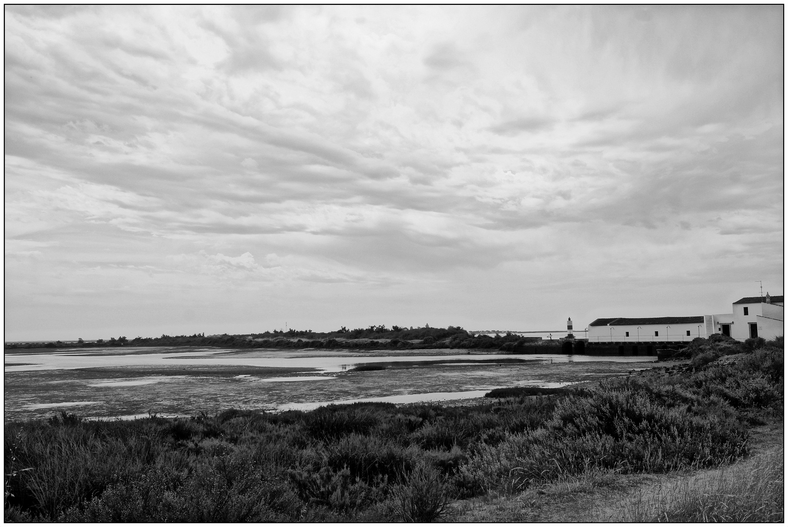 . Ria Formosa .