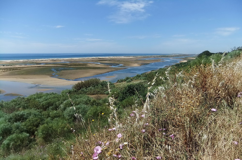 Ria Formosa