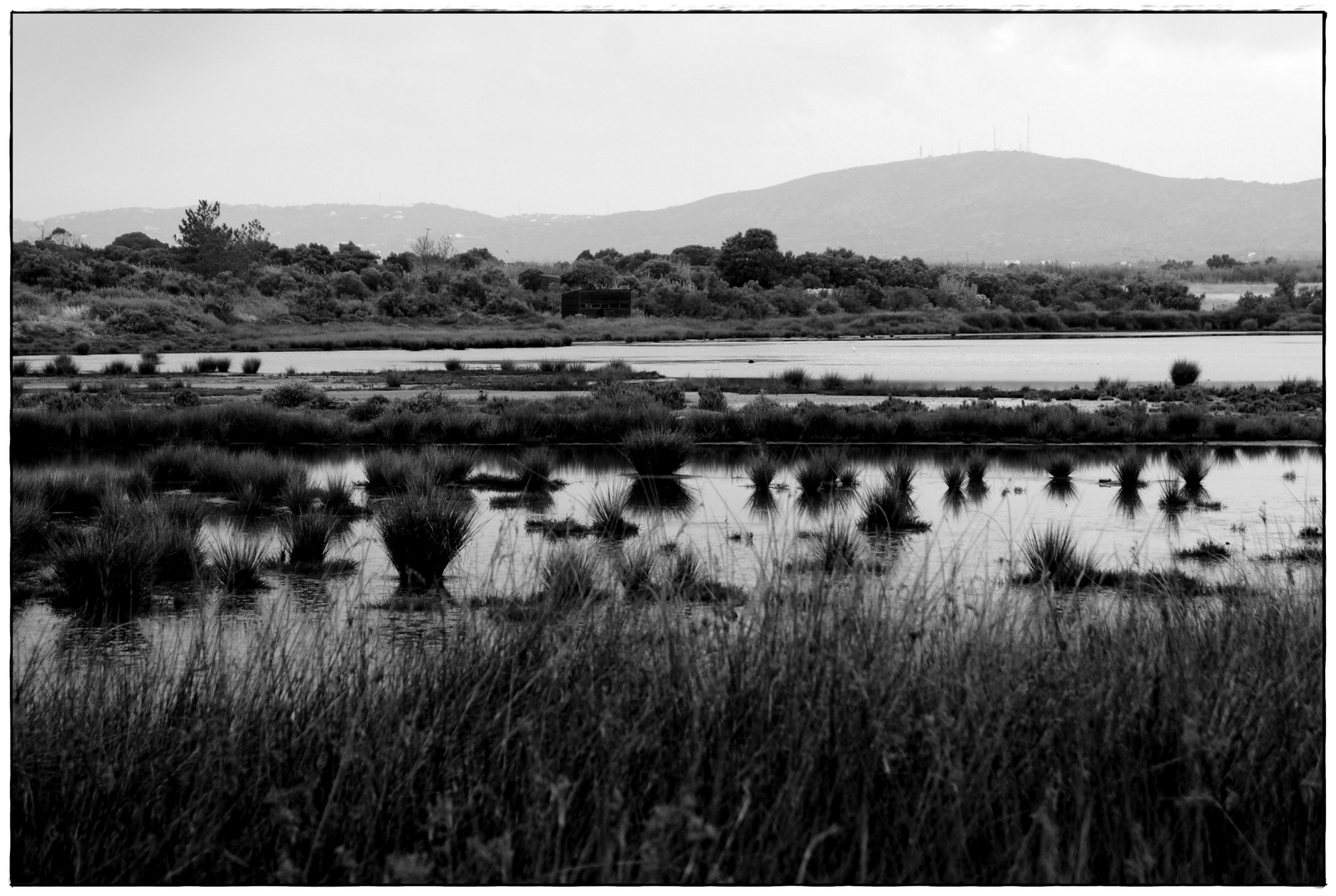 . Ria Formosa .