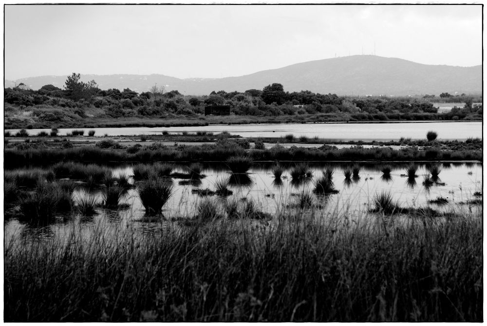 . Ria Formosa .