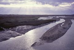 Ria Formosa