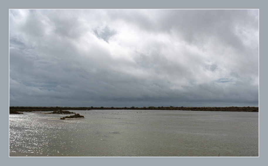 Ria Formosa I