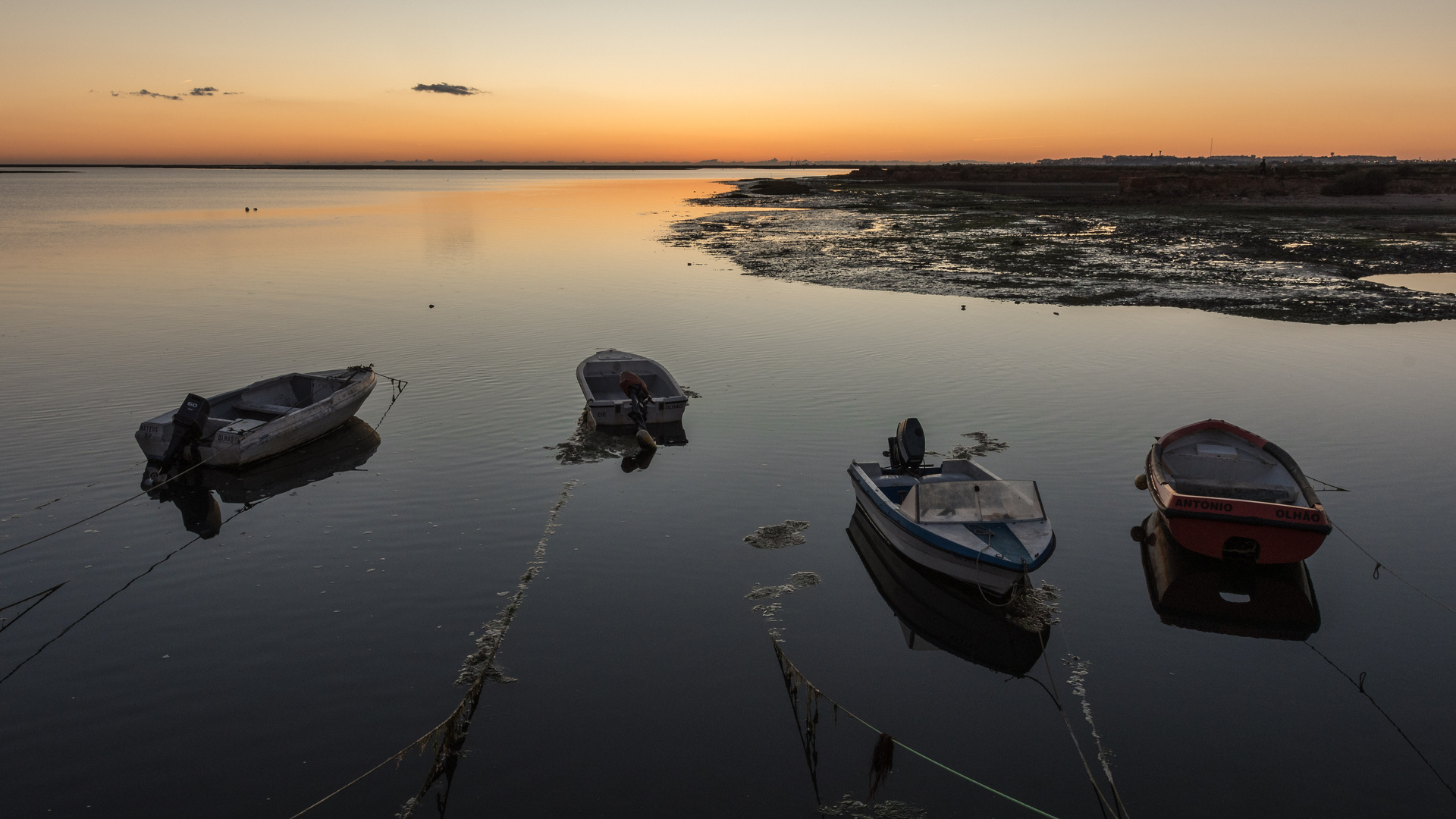 Ria Formosa Olhäo