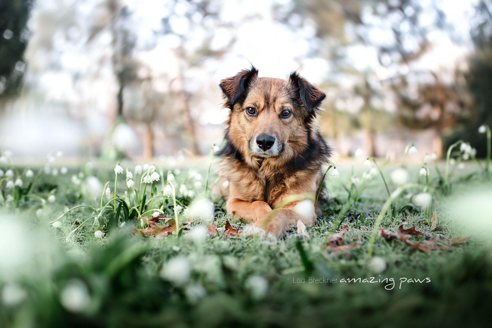 Ria mit Schneeglöckchen