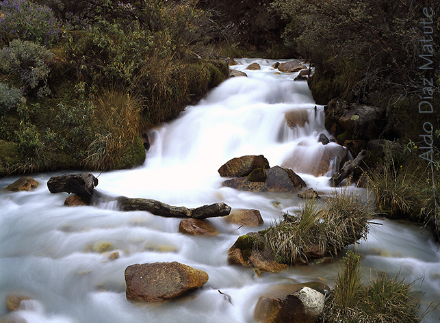 Riachuelo