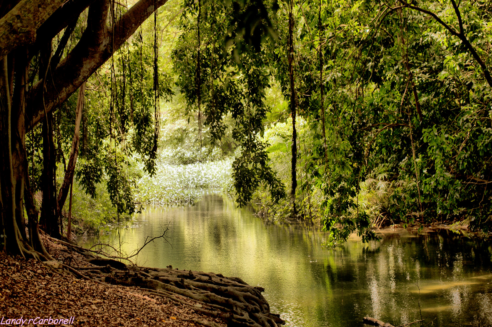 Riachuelo....