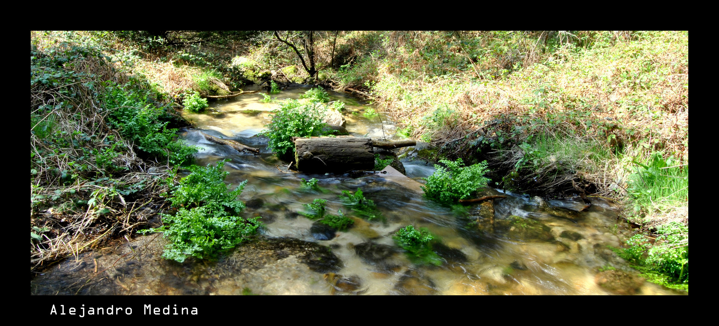 Riachuelo de Cercedilla