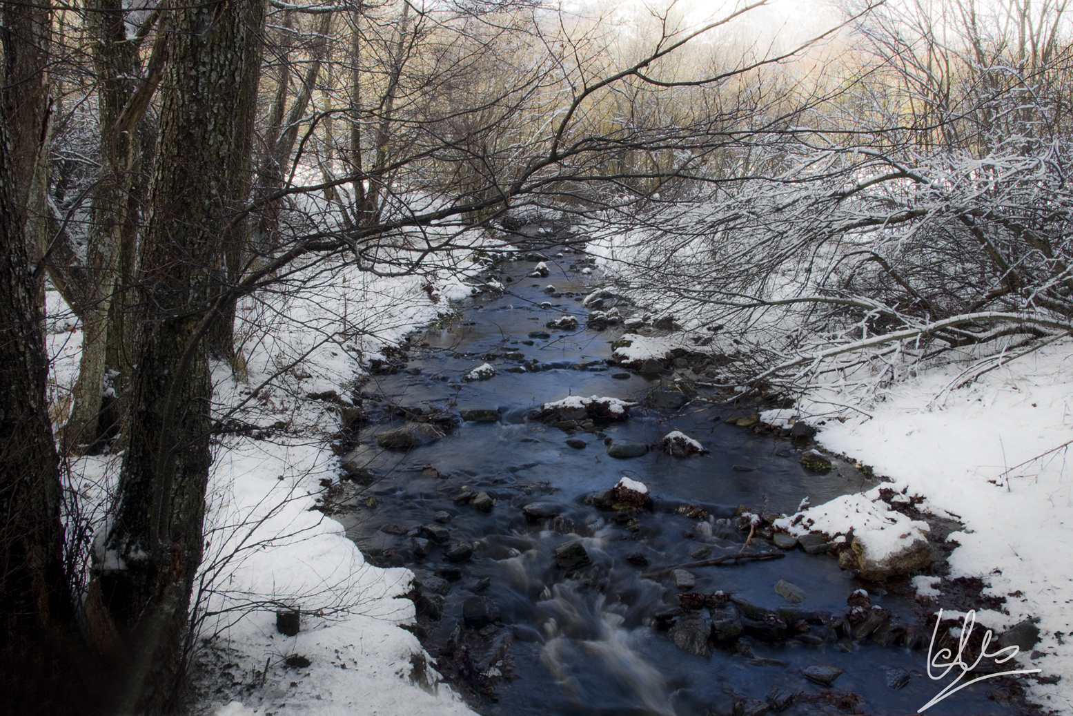 Riachuelo en el Montseny