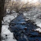 Riachuelo en el Montseny