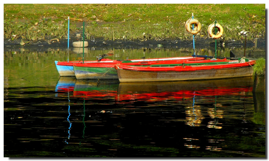 Riachuelo. Reflejos