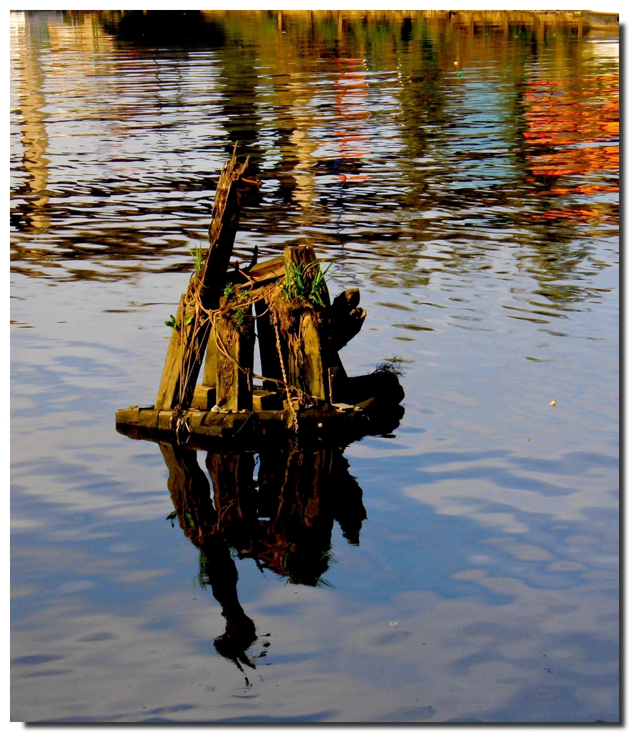 Riachuelo. Reflejos IV