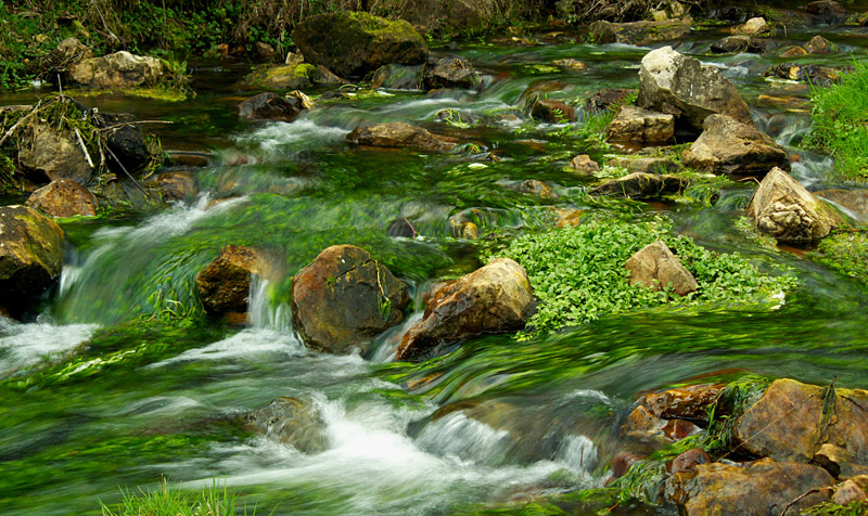 Riachuelo verde