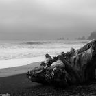 Rialto Beach