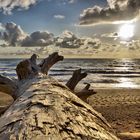 Rialto Beach