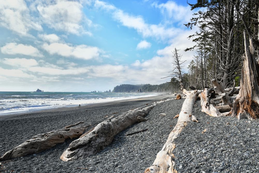 Rialto Beach