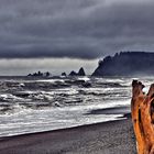 Rialto Beach II.