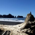 Rialto Beach im Olympic National Park in der Nähe von La Push