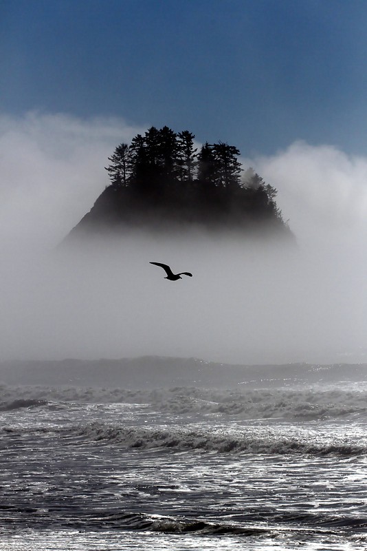 Rialto Beach - La Push, Washington State