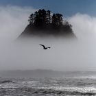 Rialto Beach - La Push, Washington State