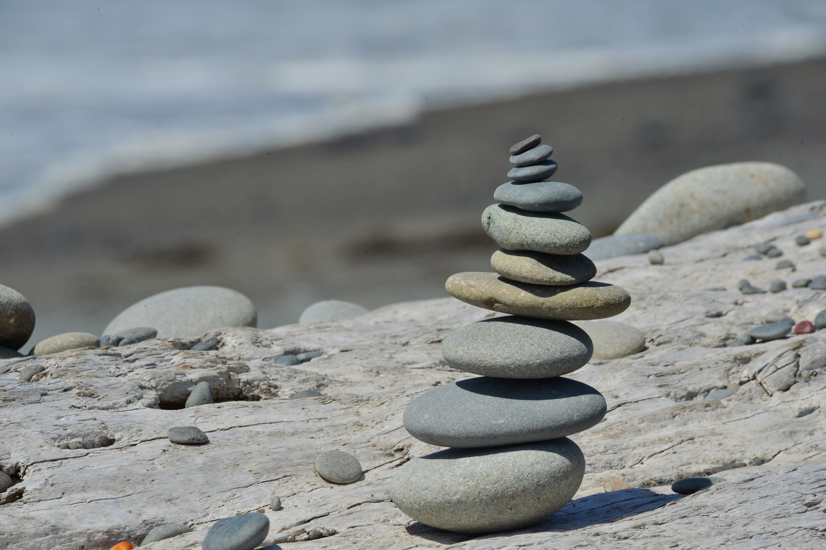 Rialto Beach - Time for Meditation