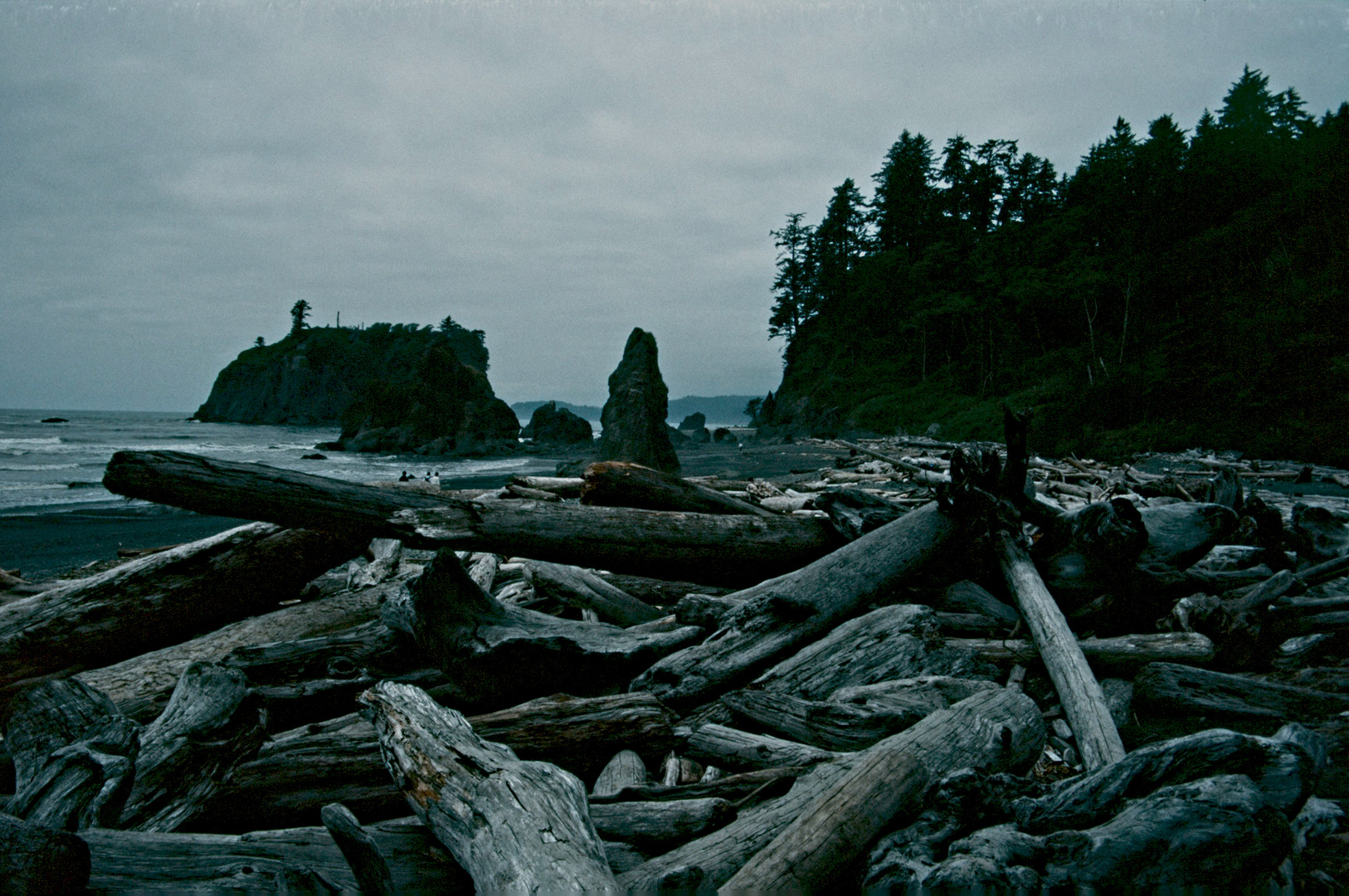 Rialto Beach, WA - 1996