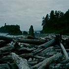 Rialto Beach, WA - 1996