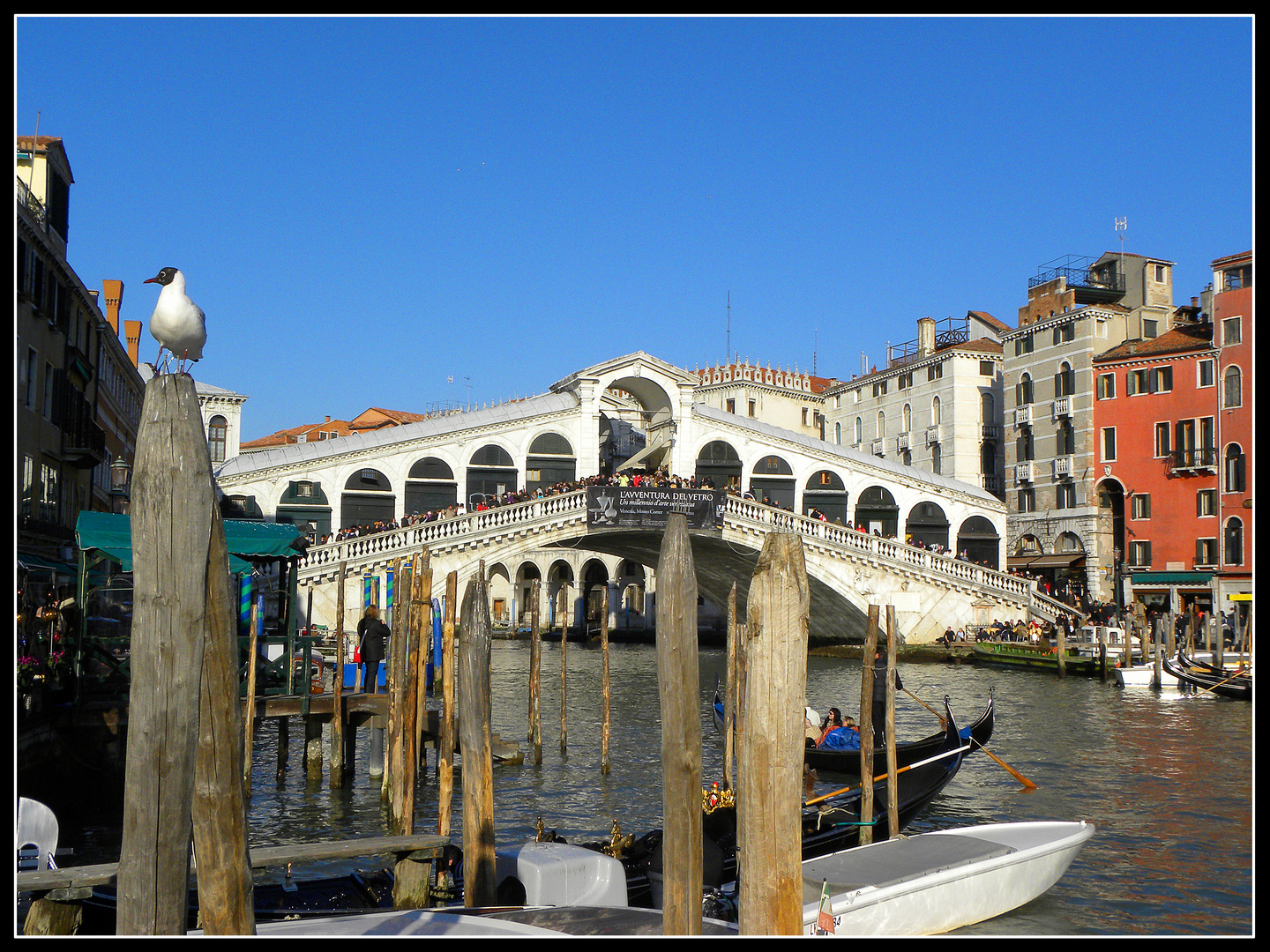 Rialto Brücke