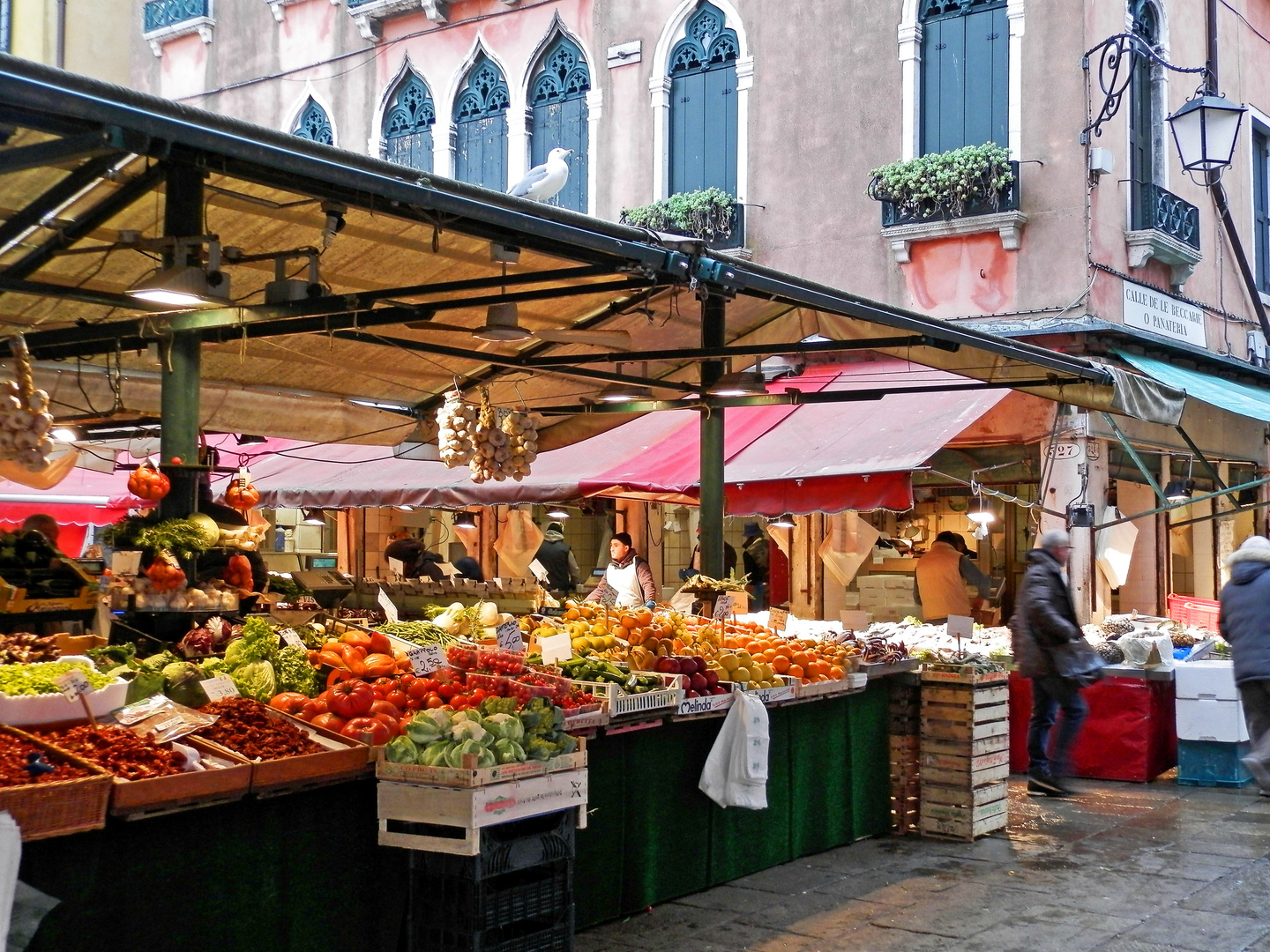 Rialto Market...with Sea Gull